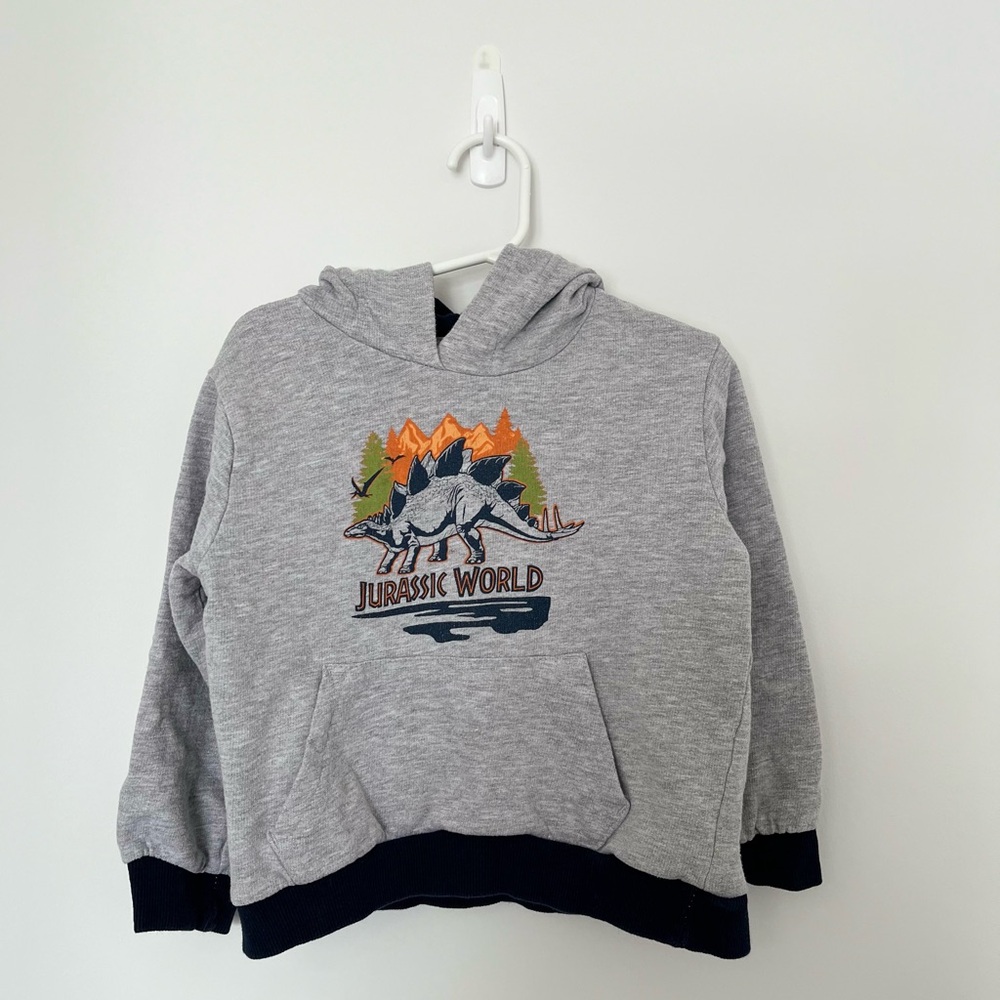 Jurassic World Kids Gray Hoodie